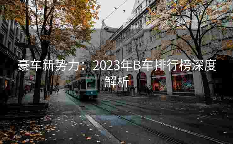 豪车新势力：2023年B车排行榜深度解析